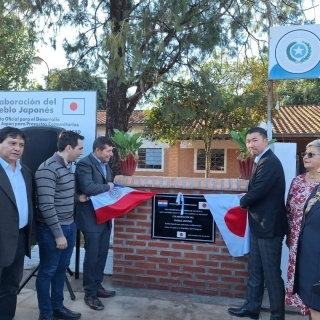 Descubrimiento de Placa