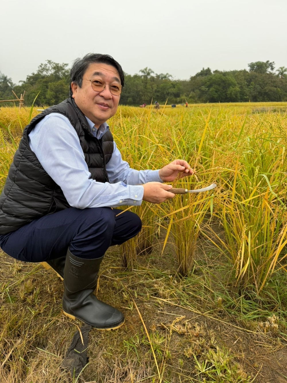 Participación del Embajador ITAGAKI en la cosecha de arroz en Pirapó, Dep. de Itapúa