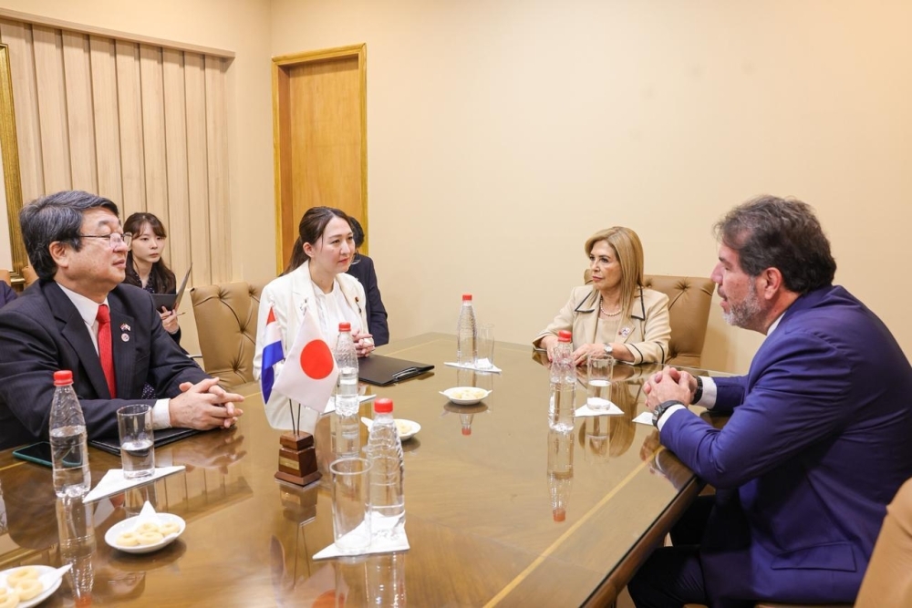 英利外務大臣政務官のパラグアイ上院及び下院パラグアイ日本友好議員連盟会長との会合