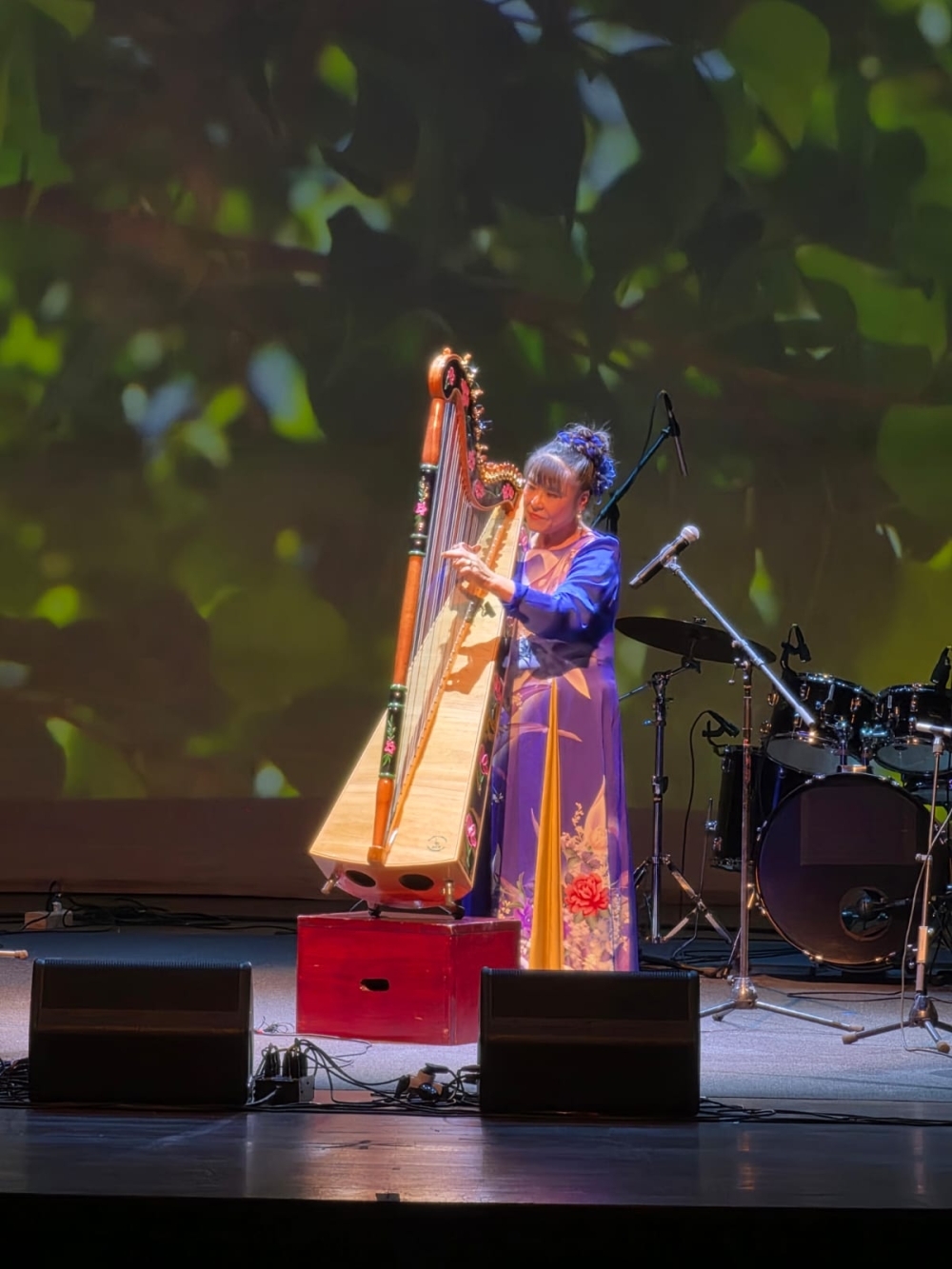 Encuentro del Embajador ITAGAKI y su Sra. esposa con la Arpista japonesa Lucia SHIOMITSU 