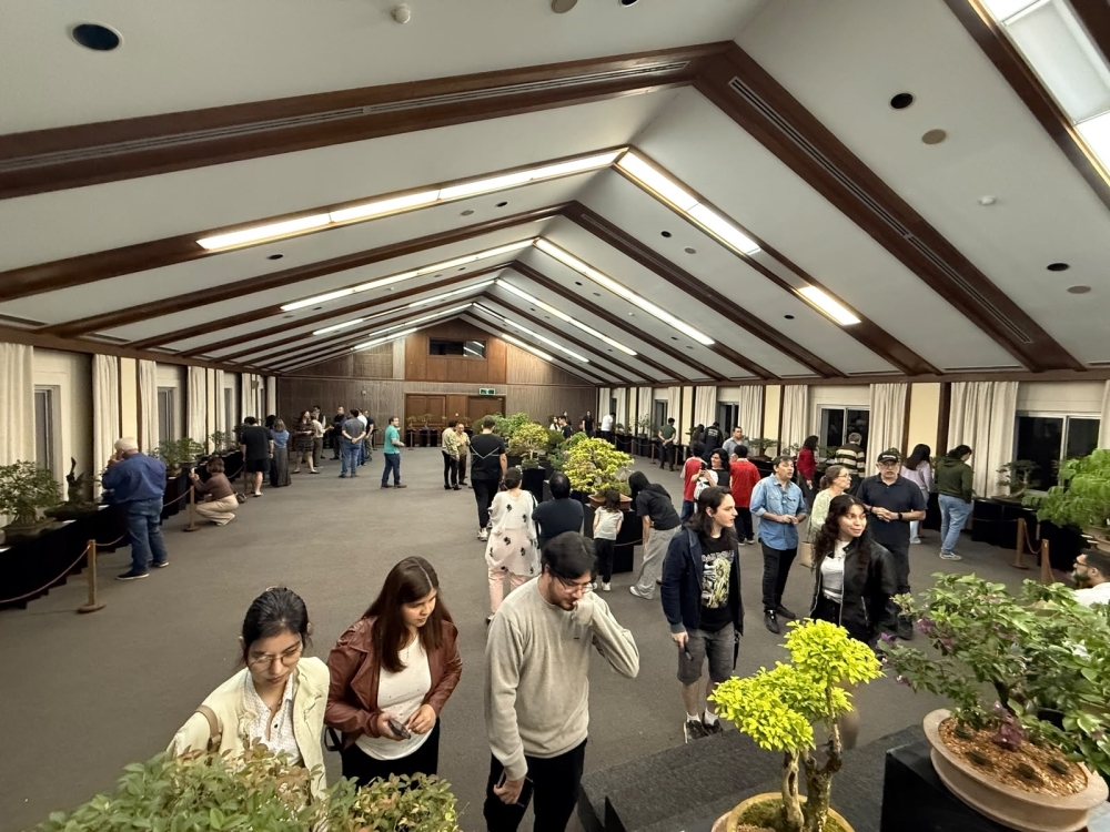 Asistencia de Embajador ITAGAKI a la inauguración de la Exposición de BONSAI